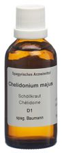Spagyros Spagyr Chelidonium majusFl 50 ml, Hauptbild