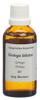 Spagyros Spagyr Ginkgo biloba Fl 50 ml, Hauptbild