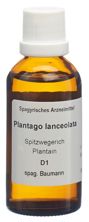 Spagyros Spagyr plantago lanceolatafl 50 ml, image principale