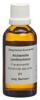 Spagyros Spagyr Alchemilla xanthochlora Fl 50 ml, Hauptbild