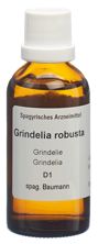 Spagyros Spagyr Grindelia robusta