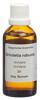 Spagyros Spagyr Grindelia robusta Fl 50 ml, Hauptbild