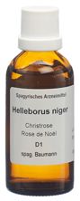 Spagyros Spagyr helleborus nigerfl 50 ml, image principale