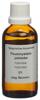 Spagyros Spagyr Pausinystalia johimbe Fl 50 ml, Hauptbild