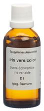 Spagyros Spagyr iris versicolor fl 50 ml, image principale