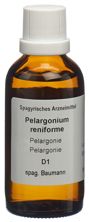 Spagyros Spagyr pelargonium renif1 D fl 50 ml, image principale