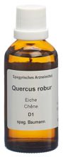 Spagyros Spagyr Quercus roburFl 50 ml, Hauptbild
