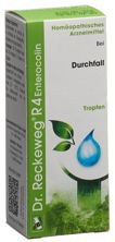 Reckeweg R4 Enterocolin gouttes fl 50 ml, image principale