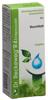 Reckeweg R4 Enterocolin gouttes fl 50 ml, image principale