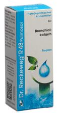 Reckeweg R48 Pulmosol Tropfen Fl 50 ml, Hauptbild