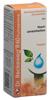 Reckeweg R60 Purhaemine gouttes fl 50 ml, image principale
