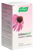 EchinaMed Resistenz-Erkältung Tabletten 400 Stk, Hauptbild