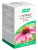 Vogel Echinaforce Resist-Erkält forte Tabl 120 Stk, Hauptbild