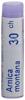 Boiron arnica montana glob 30 CH 1 dos, image principale