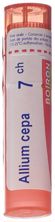 Boiron Allium cepa Gran CH 7 4 g, Hauptbild
