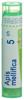 Boiron apis mellifica gran 5 CH 4 g, image principale