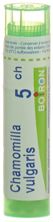 Boiron Chamomilla vulgaris Gran CH 5 4 g, Hauptbild