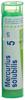 Boiron Mercurius solubilis Gran CH 5 4 g, Hauptbild
