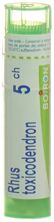 Boiron rhus toxicodendron gran 5 CH 4 g, image principale