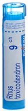 Boiron Rhus toxicodendron Gran CH 9 4 g, Hauptbild