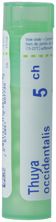 Boiron thuya occidentalis gran 5 CH 4 g, image principale