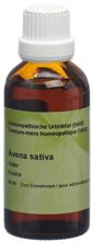 Spagyros Avena sativa Urtinkt 50 ml, Hauptbild