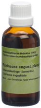 Spagyros echinacea angustifolia teint mère 50 ml, image principale