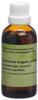 Spagyros echinacea angustifolia teint mère 50 ml, image principale