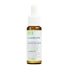 PHYTOMED Ess floral Bach no9 clématite fl 10 ml, image principale
