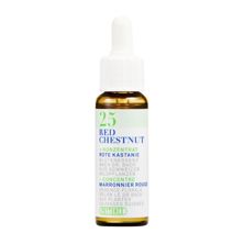 PHYTOMED Bachblüten No25 Rote Kastanie Fl 10 ml, Hauptbild