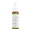PHYTOMED Bachblüten No37 Heckenrose Fl 10 ml, Hauptbild