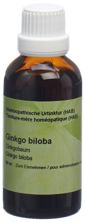 Spagyros ginkgo biloba teint mère 50 ml, image principale