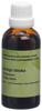 Spagyros ginkgo biloba teint mère 50 ml, image principale
