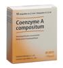 Coenzyme A comp Heel Inj Lös 10 Amp 2.2 ml, Hauptbild