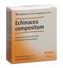 Echinacea comp Heel Inj Lös 10 Amp 2.2 ml, Hauptbild
