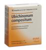 Ubichinon comp Heel Inj Lös 10 Amp 2.2 ml, Hauptbild