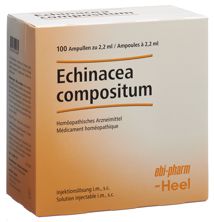 Echinacea comp Heel Inj Lös 100 Amp 2.2 ml, Hauptbild