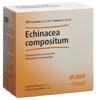 Echinacea comp Heel Inj Lös 100 Amp 2.2 ml, Hauptbild