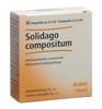 Solidago comp Heel Inj Lös 10 Amp 2.2 ml, Hauptbild