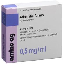 Adrenalin Amino Inj Lös 0.5 mg/ml 10 Amp 1 ml, Hauptbild