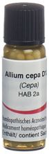 Omida allium cepa glob 12 D 2 g, image principale