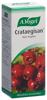 Vogel Crataegisan Tropfen Fl 50 ml, Hauptbild