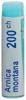 Boiron Arnica montana Glob CH 200 1 Dos, Hauptbild