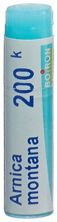Boiron Arnica montana Glob 200 K 1 Dos, Hauptbild