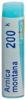 Boiron Arnica montana Glob 200 K 1 Dos, Hauptbild