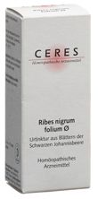 Ceres Ribes nigrum folium