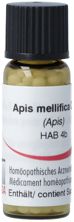 Omida Apis mellifica Glob C 12 2 g, Hauptbild