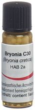 Omida Bryonia Glob C 30 2 g, Hauptbild