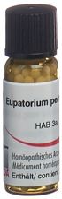Omida eupatorium perfoliatum glob 30 C 2 g, image principale