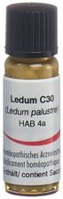 Omida Ledum Glob C 30 2 g, Hauptbild